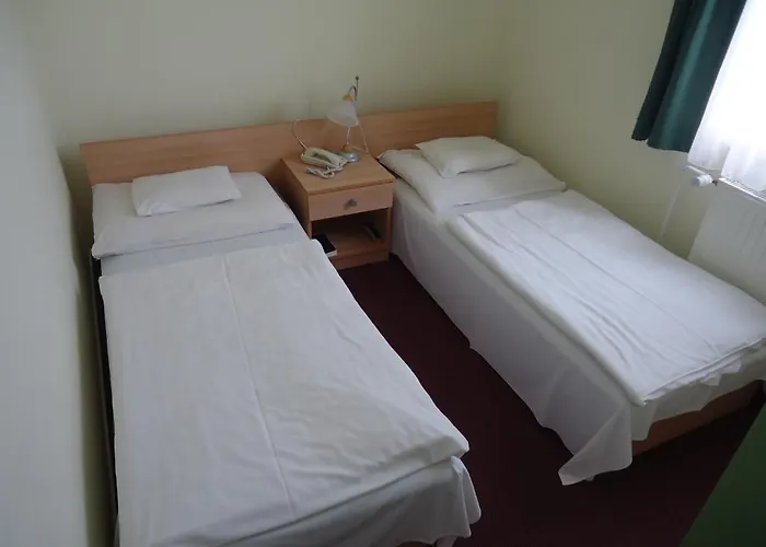 Hotel Jancsar Alba Regalǎ